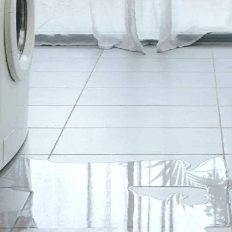Appliance Leak Cleanup in Marion, MS