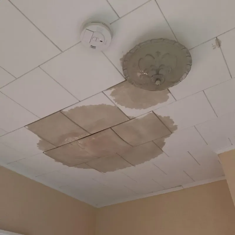 Ceiling Water Damage Repair in Marion, MS