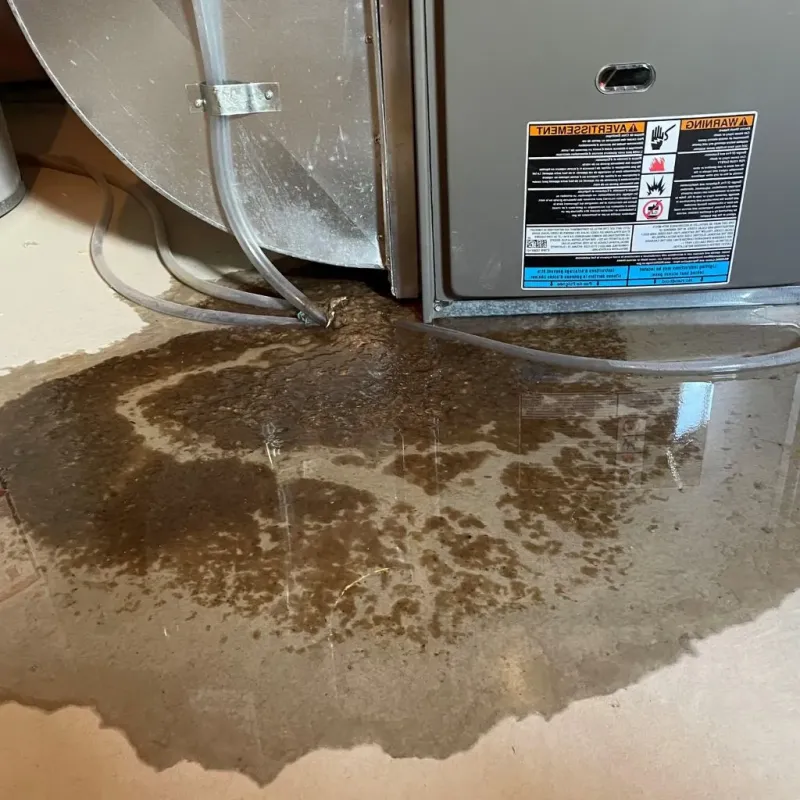 Pipe Burst and Leak Restoration in Marion, MS