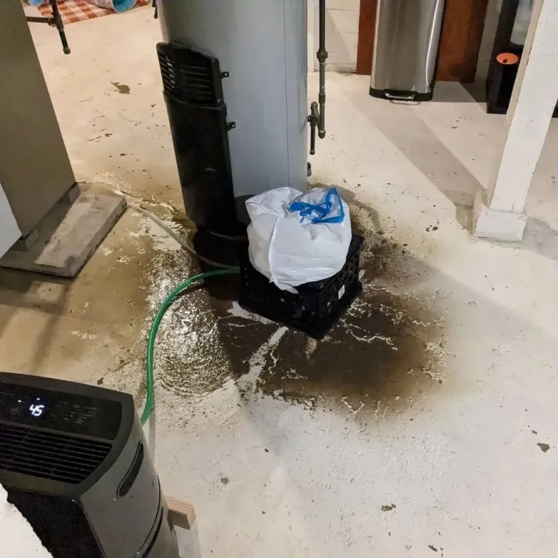 Sewage Backup Cleanup Service in Marion, MS